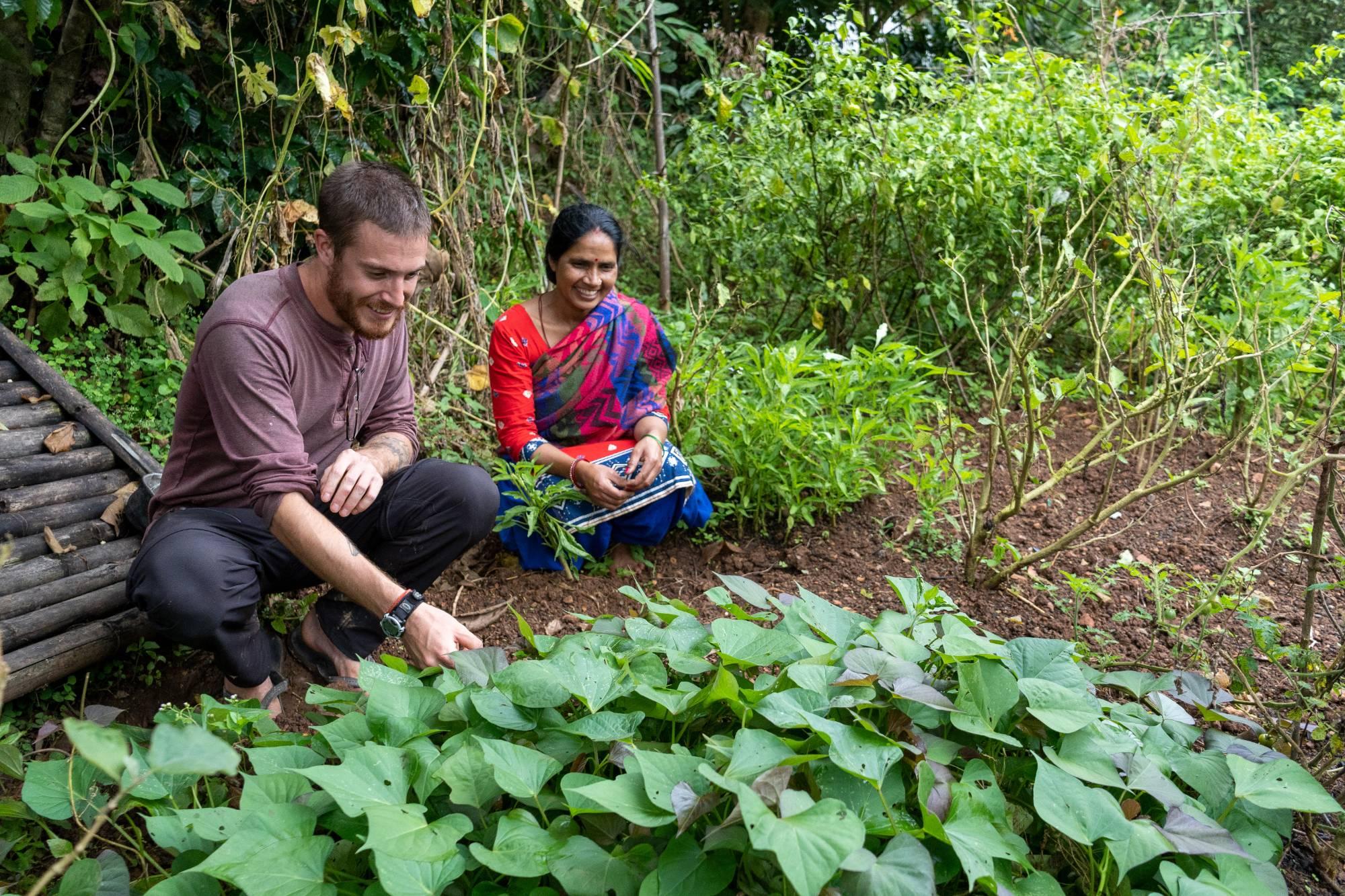 Nepal's Farms Are Short of Labor: Could Welcoming Volunteers Help?