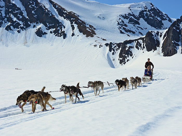 Peak Season Is Coming: How Reindeer Farms and Sled Dog Families Can Welcome Volunteers