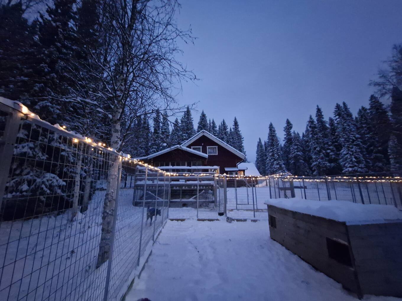 Kian Norberg - Photo 2